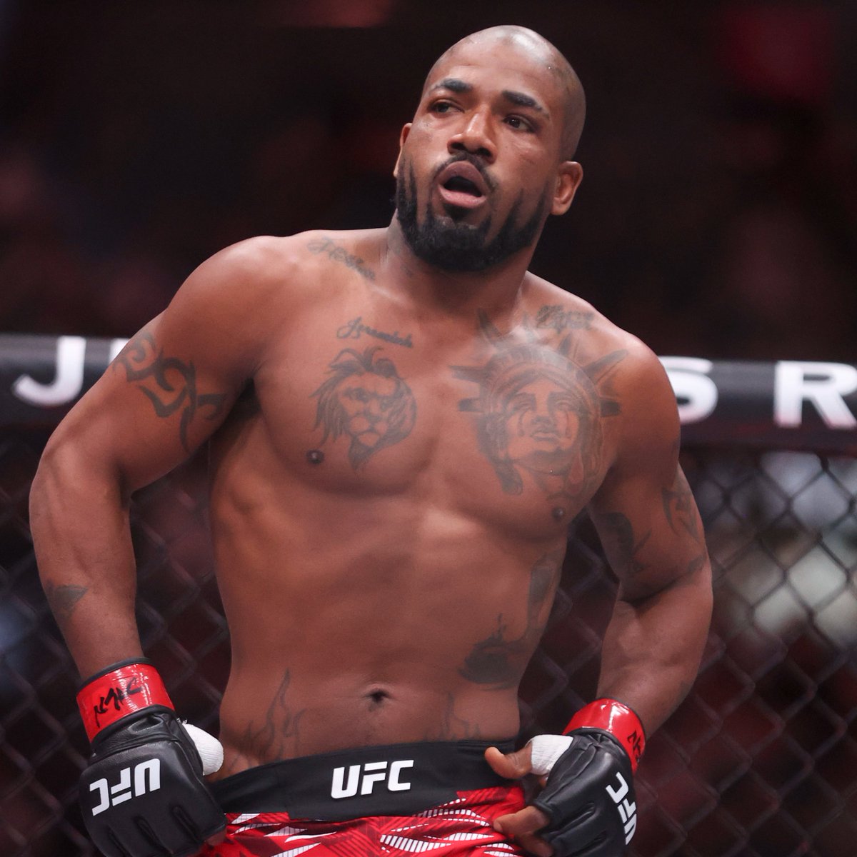 Nolan King tweet media