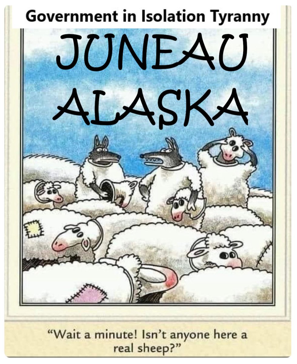 ListonDonn's tweet image. Alaskans elect the politicians they deserve.

I watched who arrived for each session of the AK Legislature as a resident of Juneau over 20 years.

It’s a reflection on the caliber of Alaskans that voters are so easily duped.