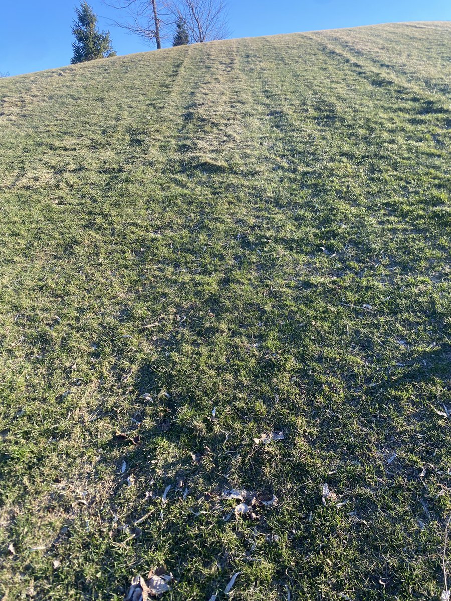 Khari Chandler tweet media