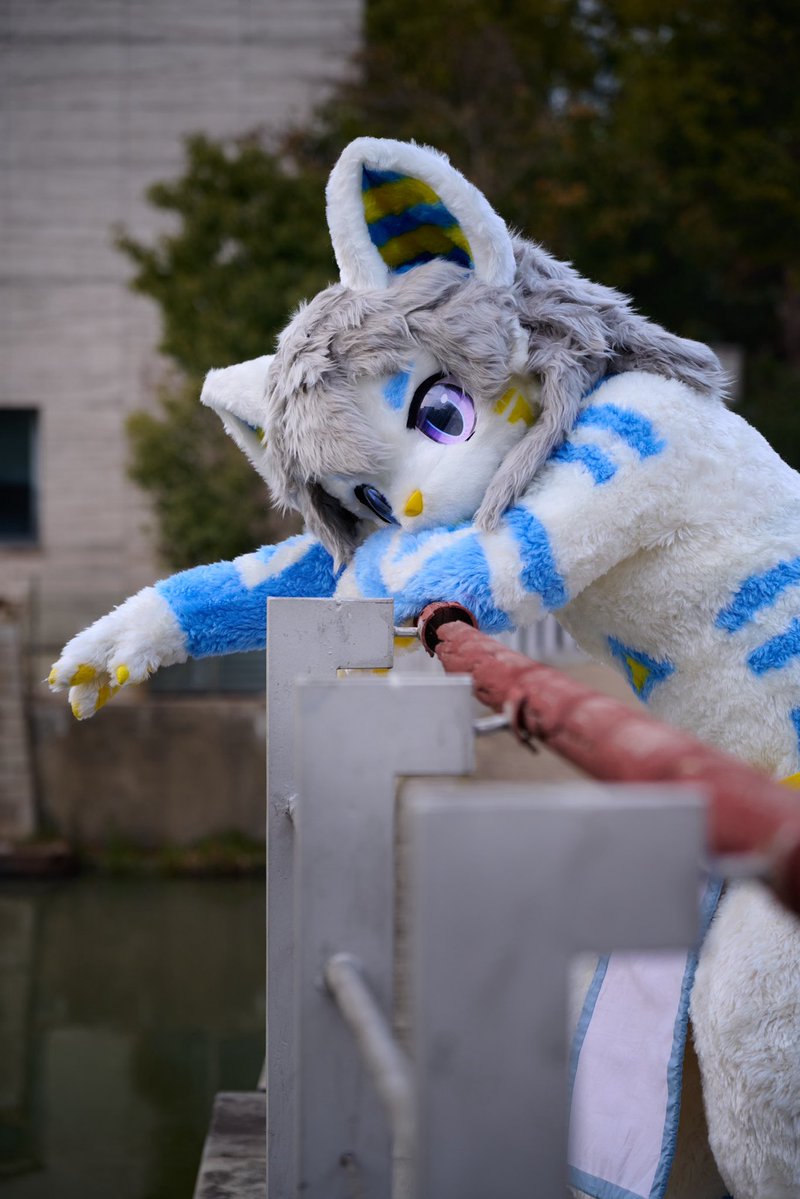 凯特冥 tweet media