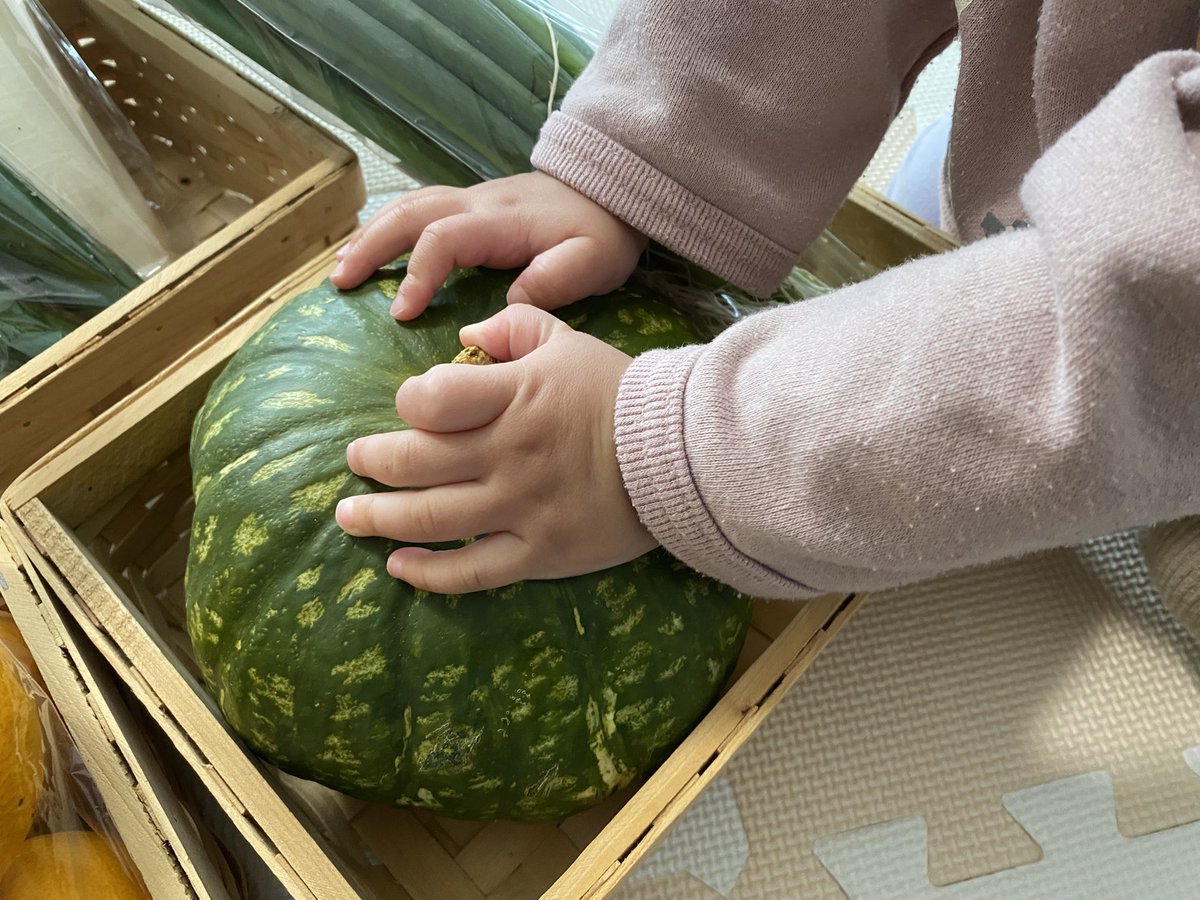 近くのJAで野菜Get✨

なんだか嬉しくて並べてたら、彩ちゃんが見に来てくれた💓

お鈴が保育園から帰って来たら、八百屋さんしてくれそうやなぁ🤭