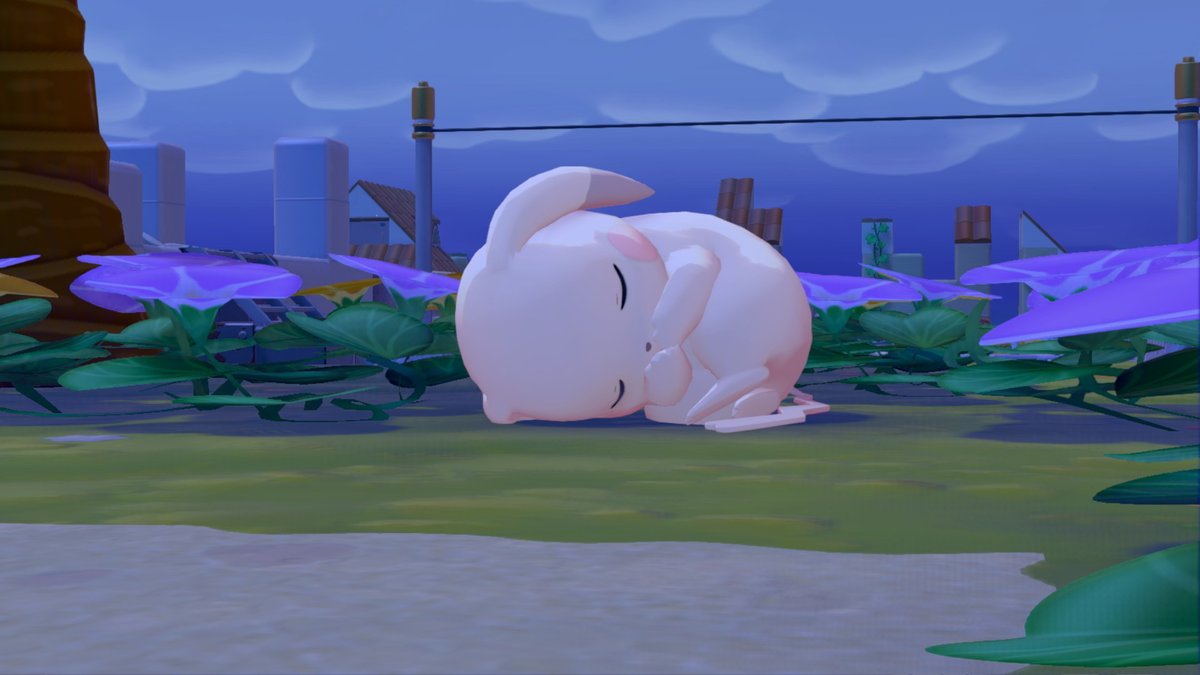 드디어 창백카츄 만났다... 작정한 귀여움 무서워