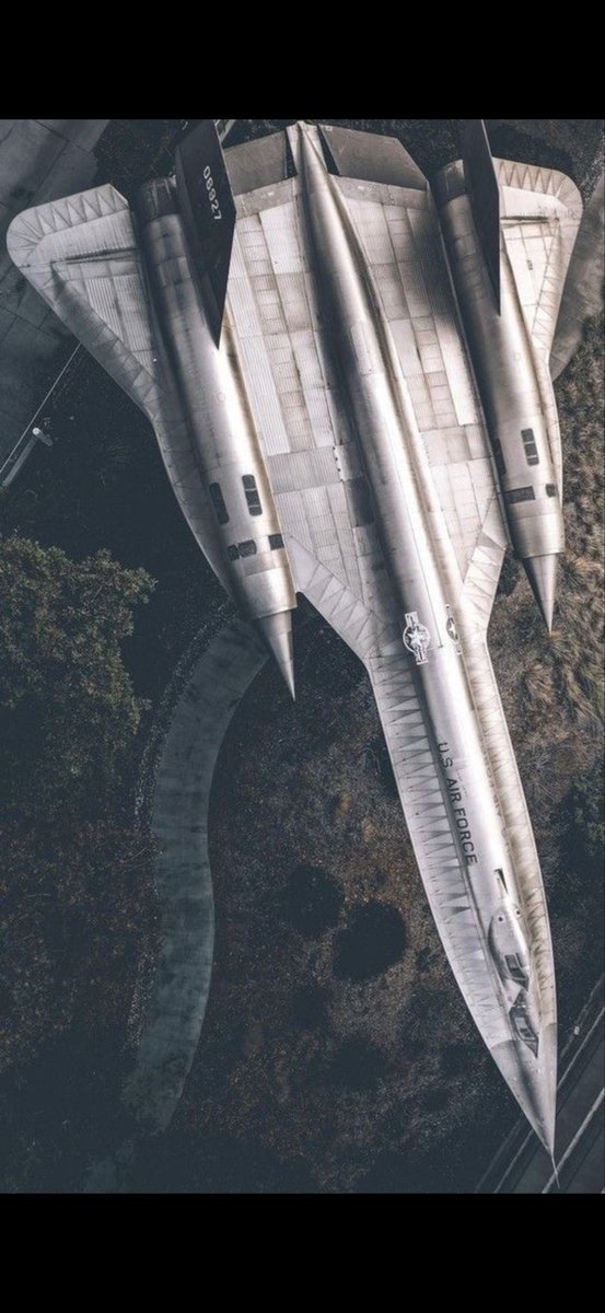 🇺🇸 Based Americana 🇺🇸 tweet media