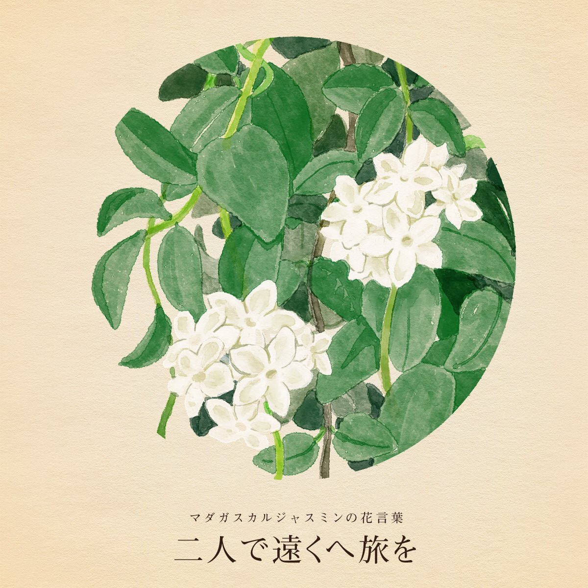 きょう3月21日は
国際人種差別撤廃デー
世界詩歌記念日
世界ダウン症の日
催眠術の日
カラー映画の日
ランドセルの日
アクションスポーツの日
プリの日
催眠術の日
日本手ぬぐいの日

誕生花は
マダガスカルジャスミン
花言葉は「二人で遠くへ旅を」