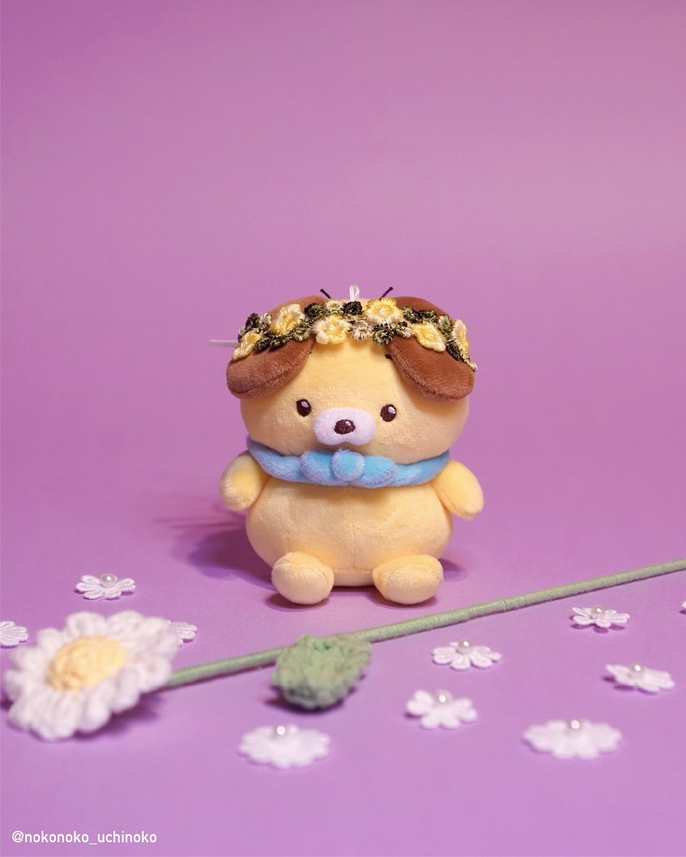 のこのこページ のこのこ うちのコ (@nknk_uchinoko) / Posts / X