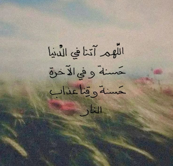 بحر 🌊 tweet media