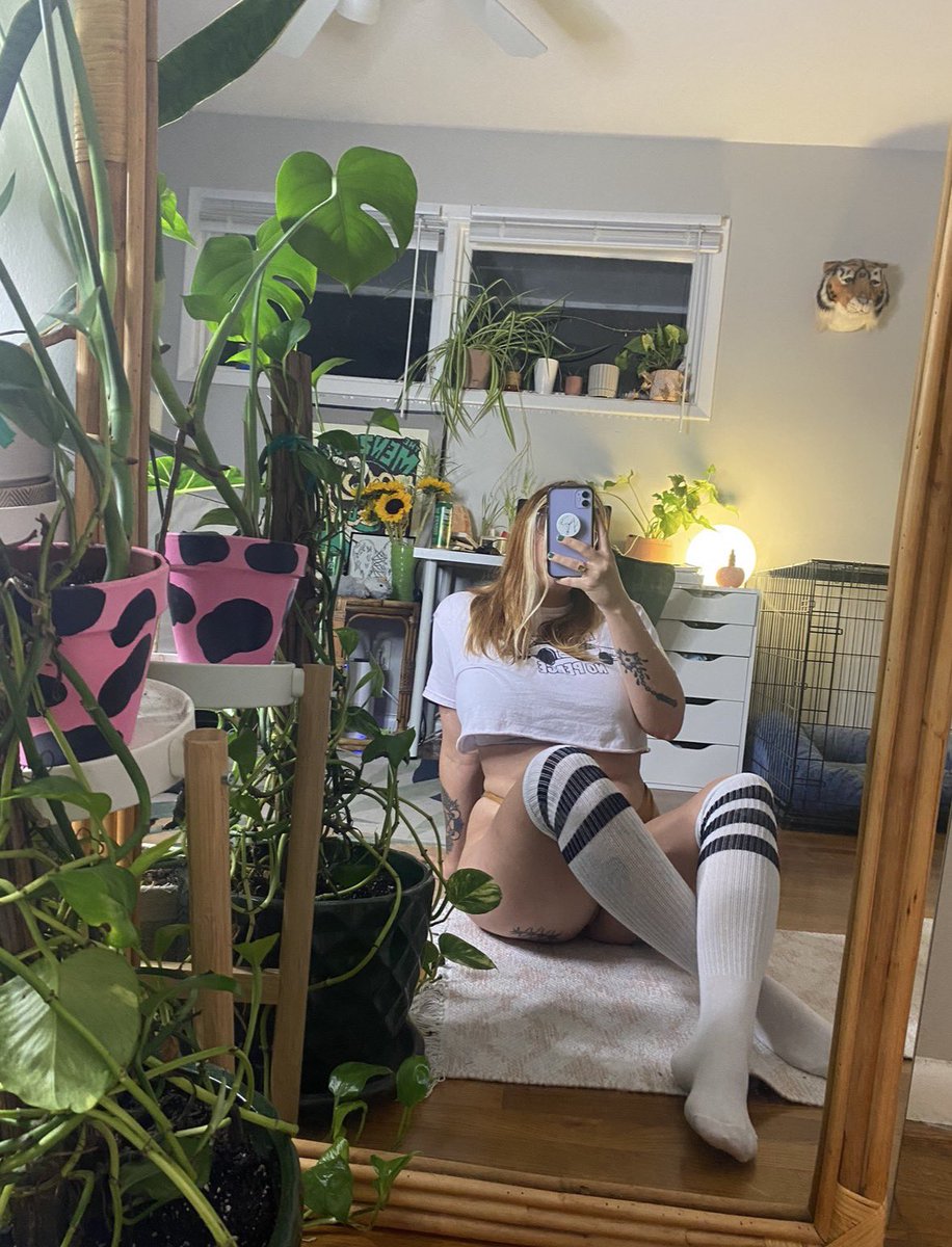 ⛏Quinn Reaper tweet media