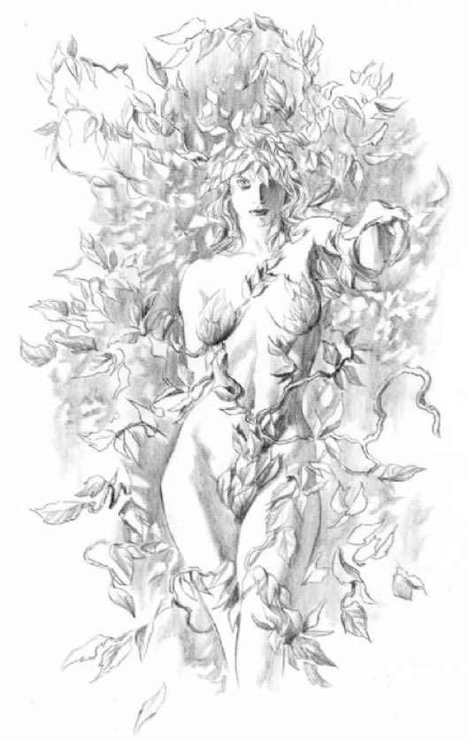 Alex Ross (@thealexrossart) on Twitter photo 