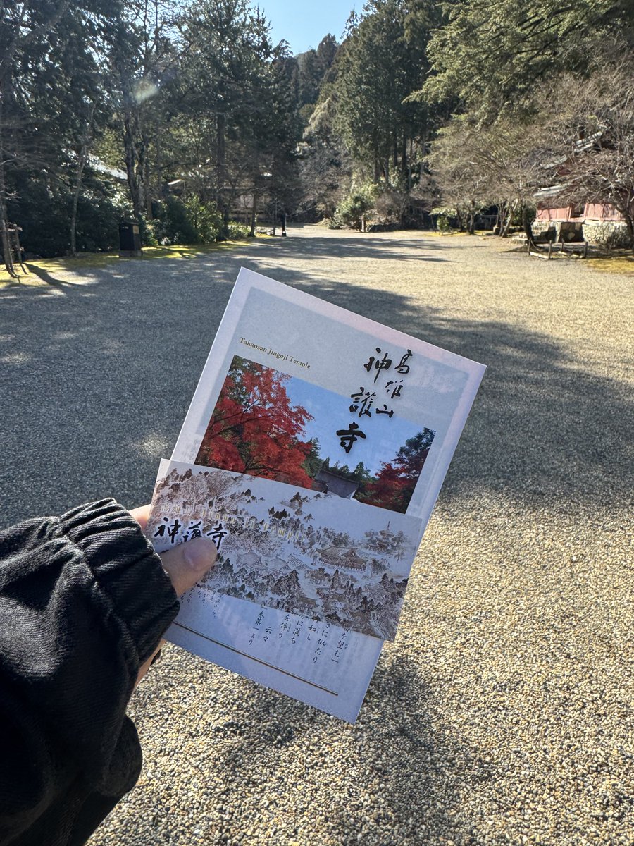 ふぃん！ tweet media