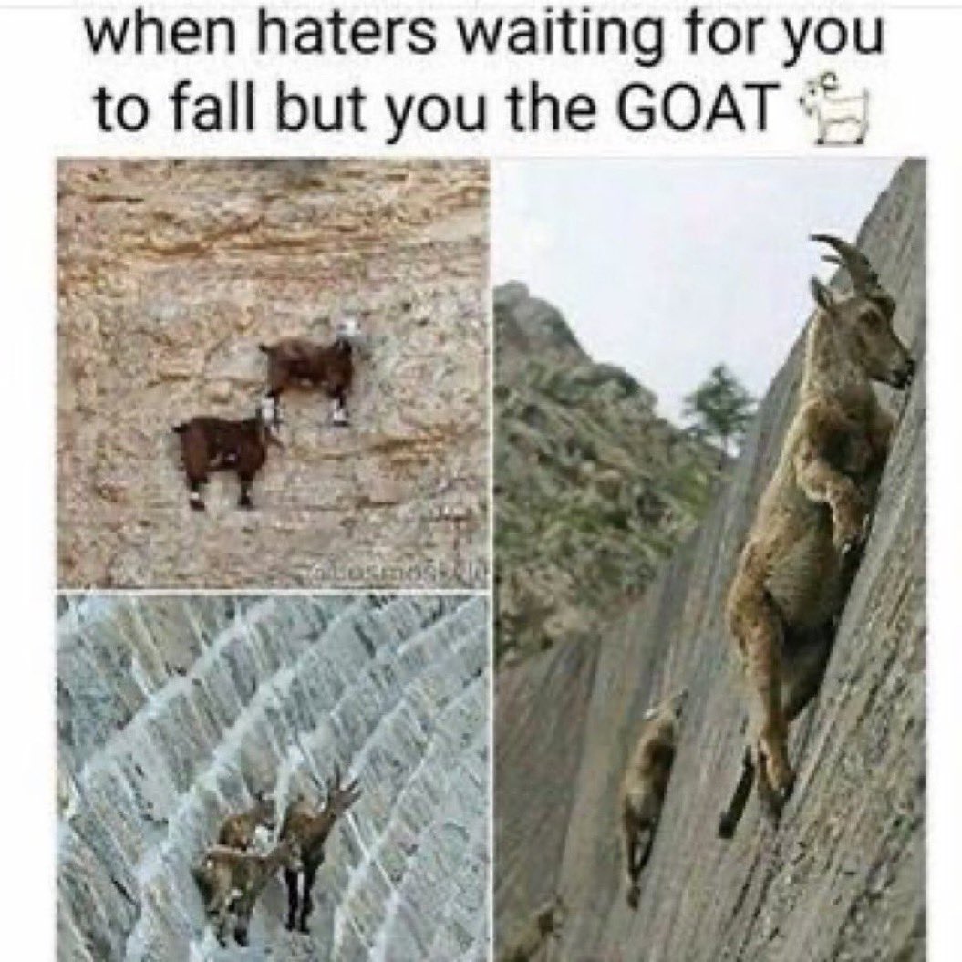 ekyszn's tweet image. WILLIAM EKLUND