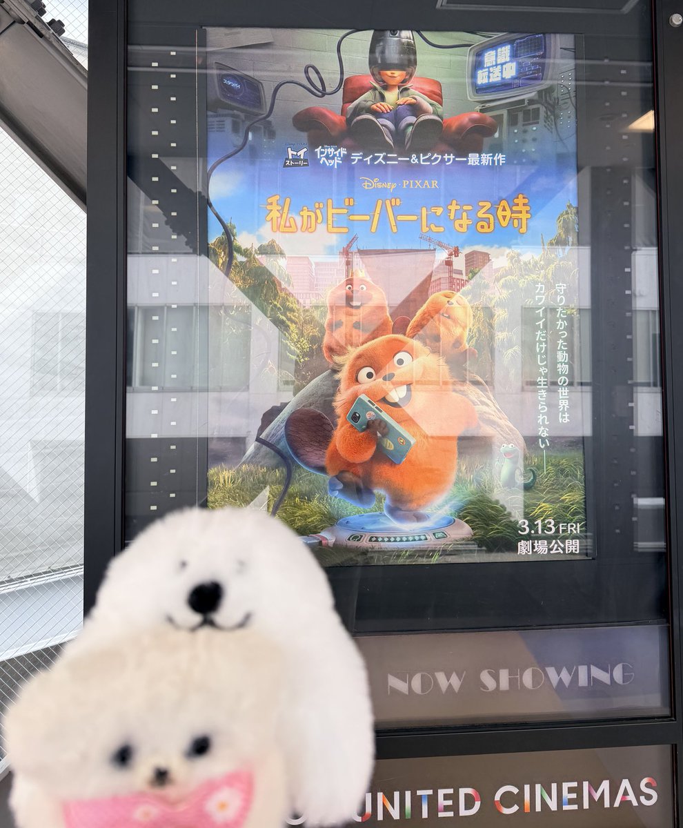 今日はビーバー！映画館はゴールデンカムイで盛り上がっていたので原作ファンとしては嬉しいです！
#私がビーバーになる時🦫