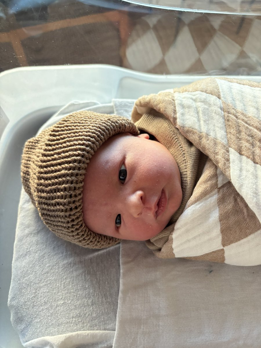 Brennan Whitaker tweet media