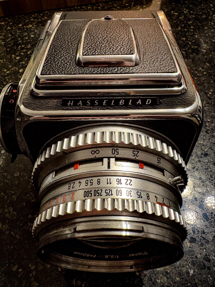 wildbillgreen tweet media