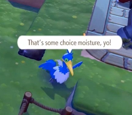 phel 🫐🌿🪻 tweet media