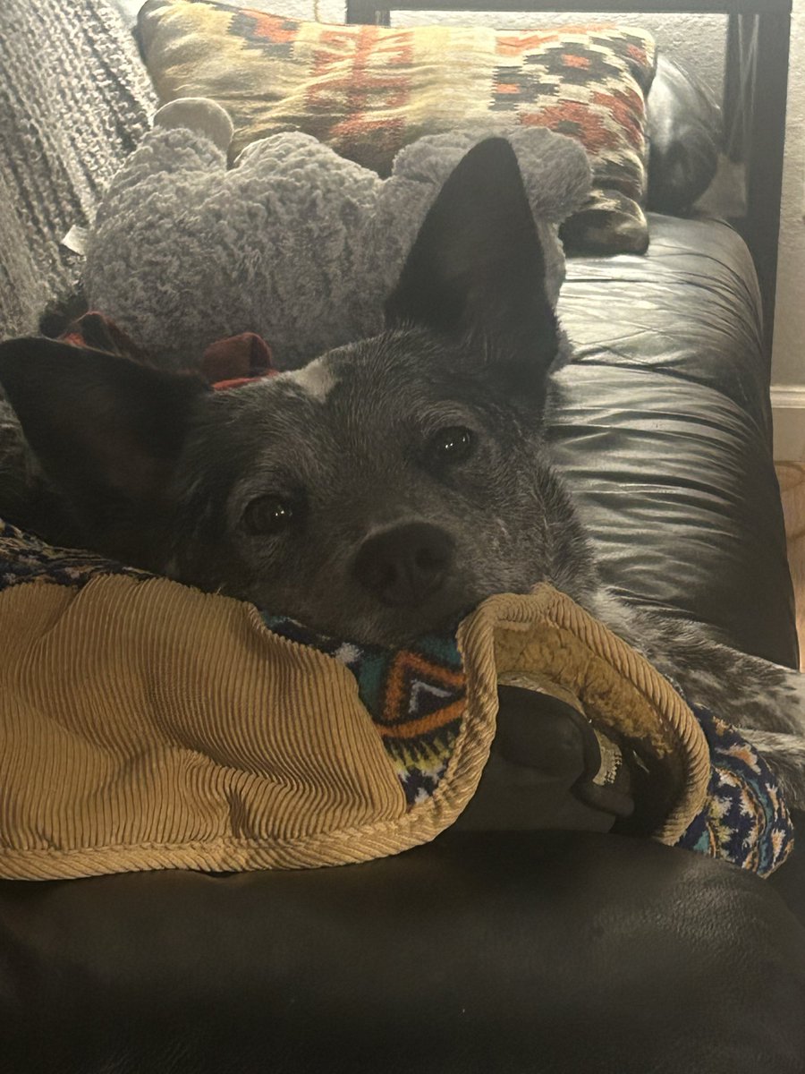 Tim Hendrickson tweet media