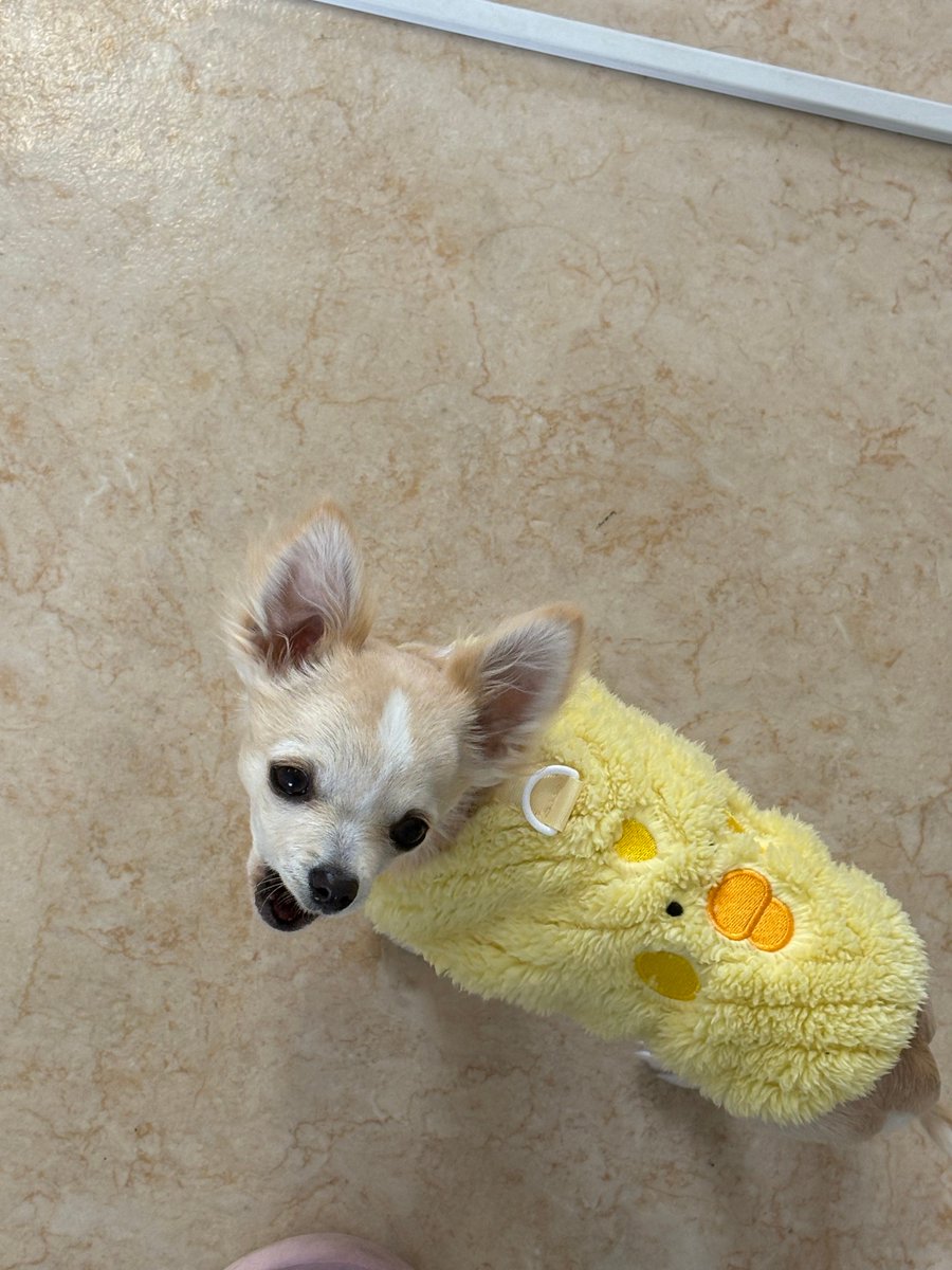 合同会社エースプランニング tweet media