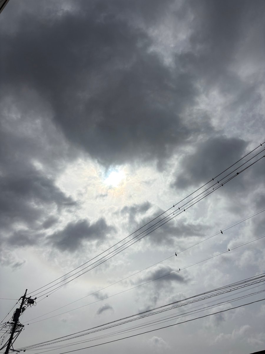 合同会社エースプランニング tweet media