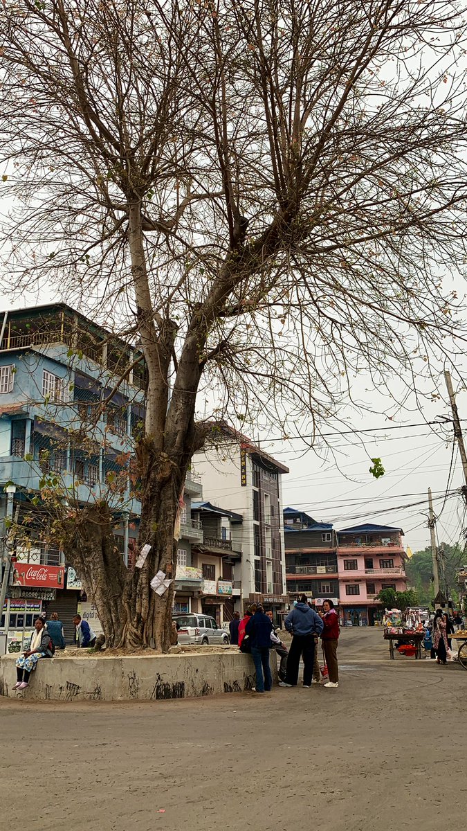 उदयपुरे 🚴‍♂️ tweet media