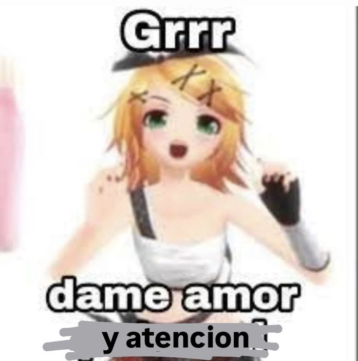 syntax6w6 tweet media