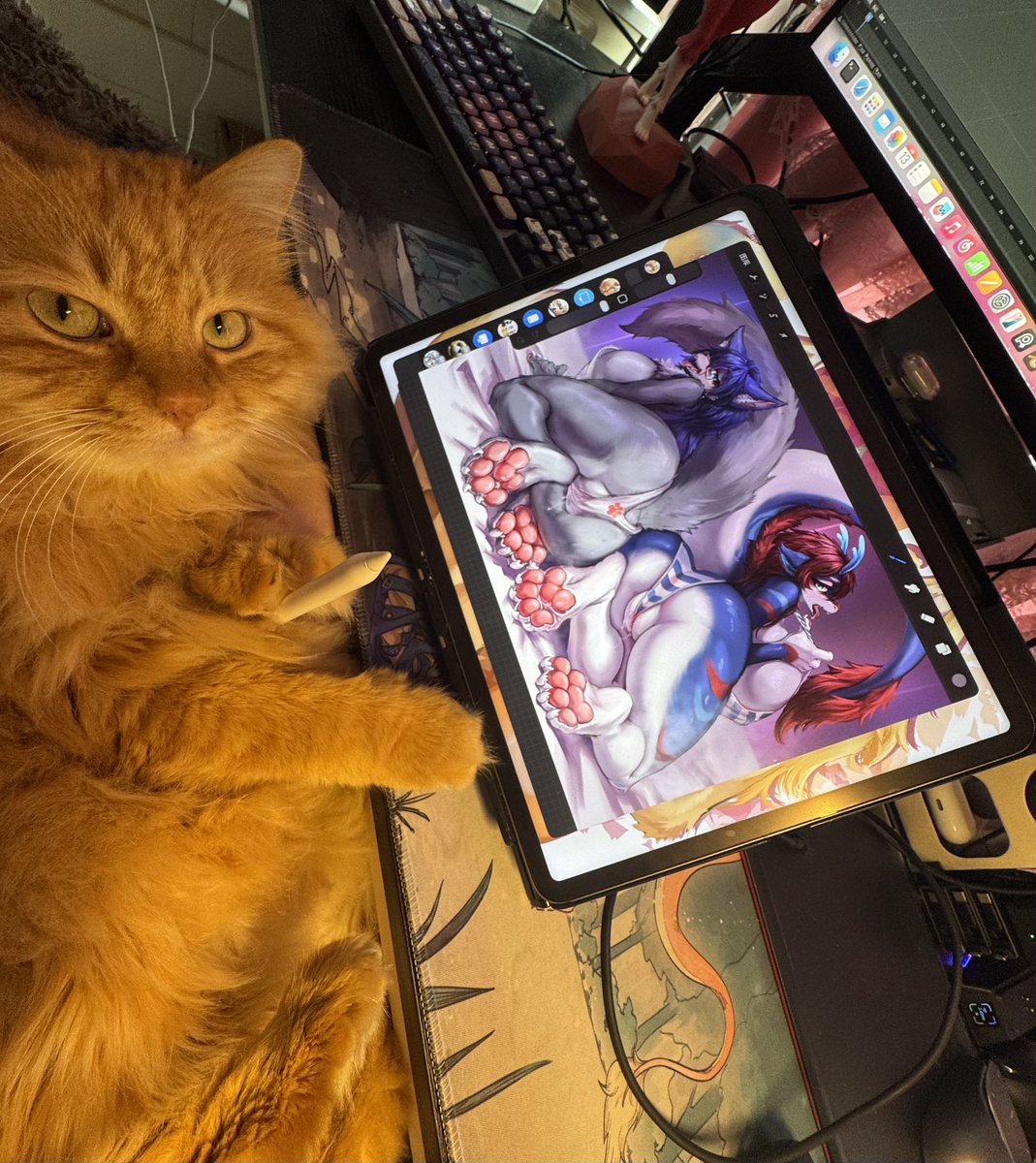 🔞NekoForest喵小森 tweet media