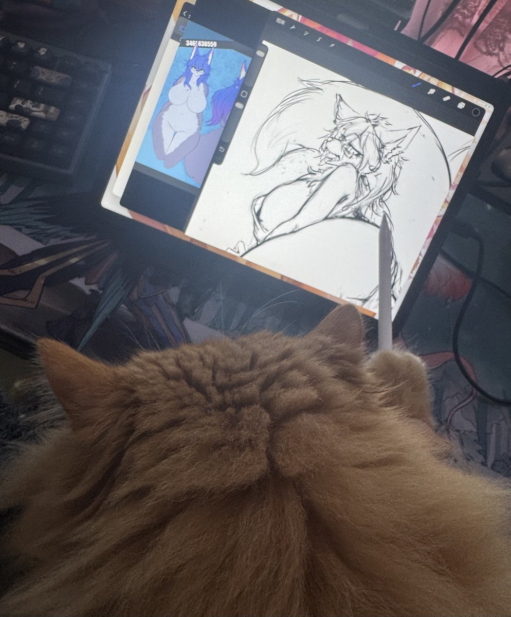 🔞NekoForest喵小森 tweet media