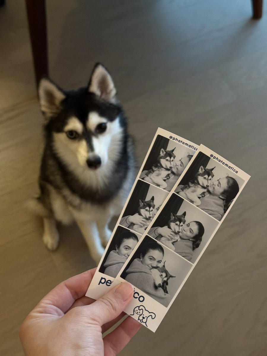 nicole alonso tweet media