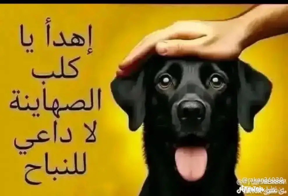 aboali347's tweet photo. @LaRevolte_LEB https://t.co/C4IBFFv7hA