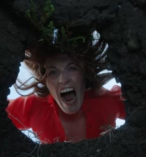 acervo florence + the machine tweet media