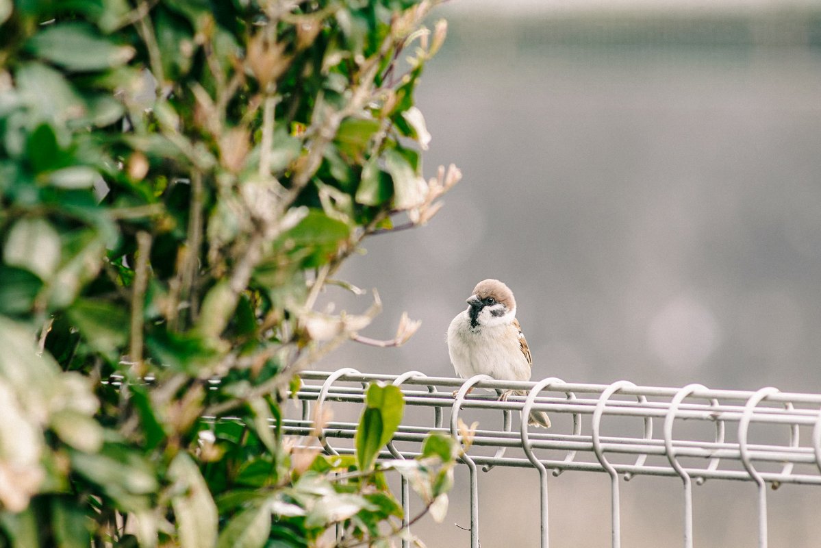 Yang Maha Eka tweet media