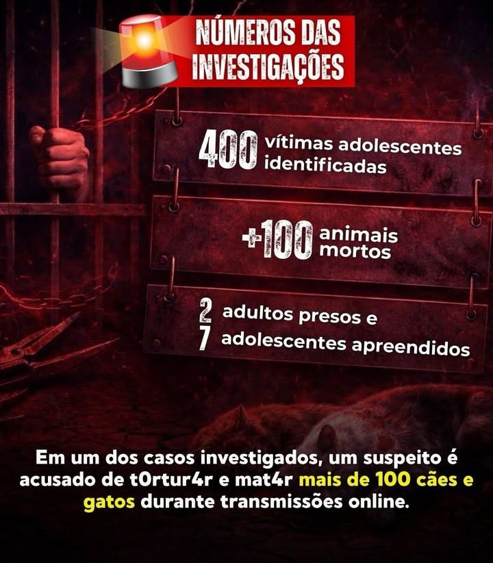 lola 🇮🇷 tweet media