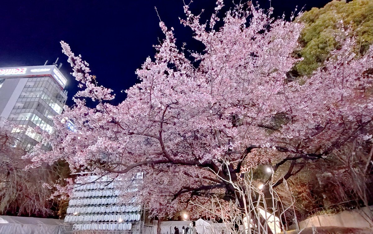 テックウインド🖥️IT機器の調達＆組立 tweet media