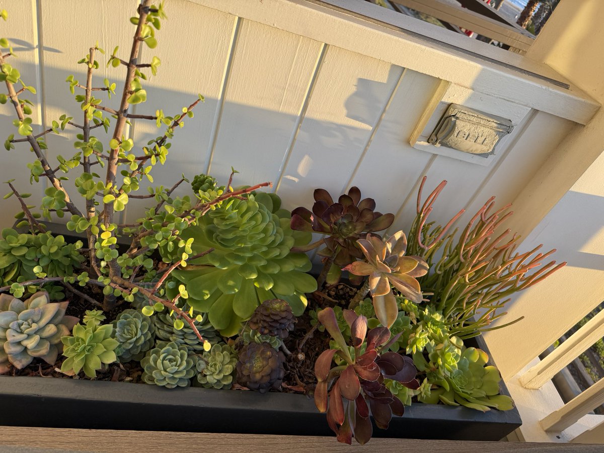 Kafreebies tweet media