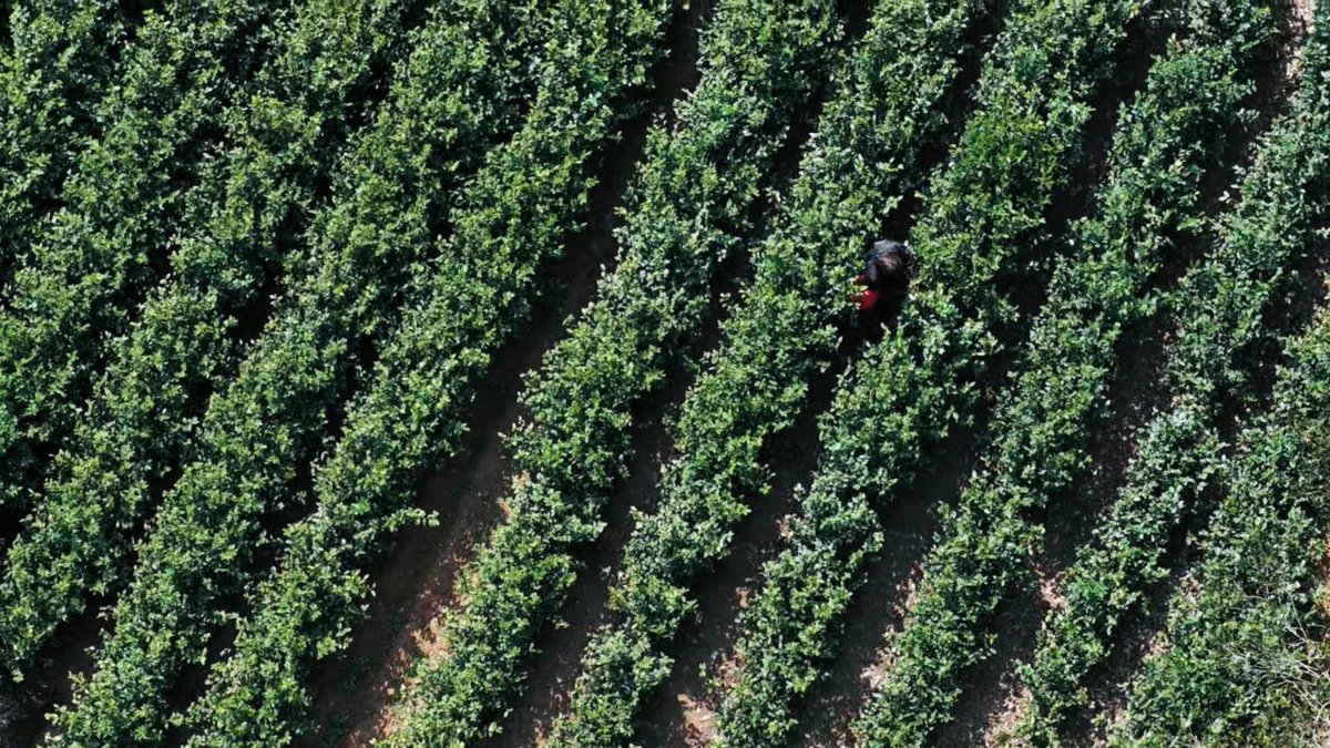 NiceYa🇨🇳 tweet media