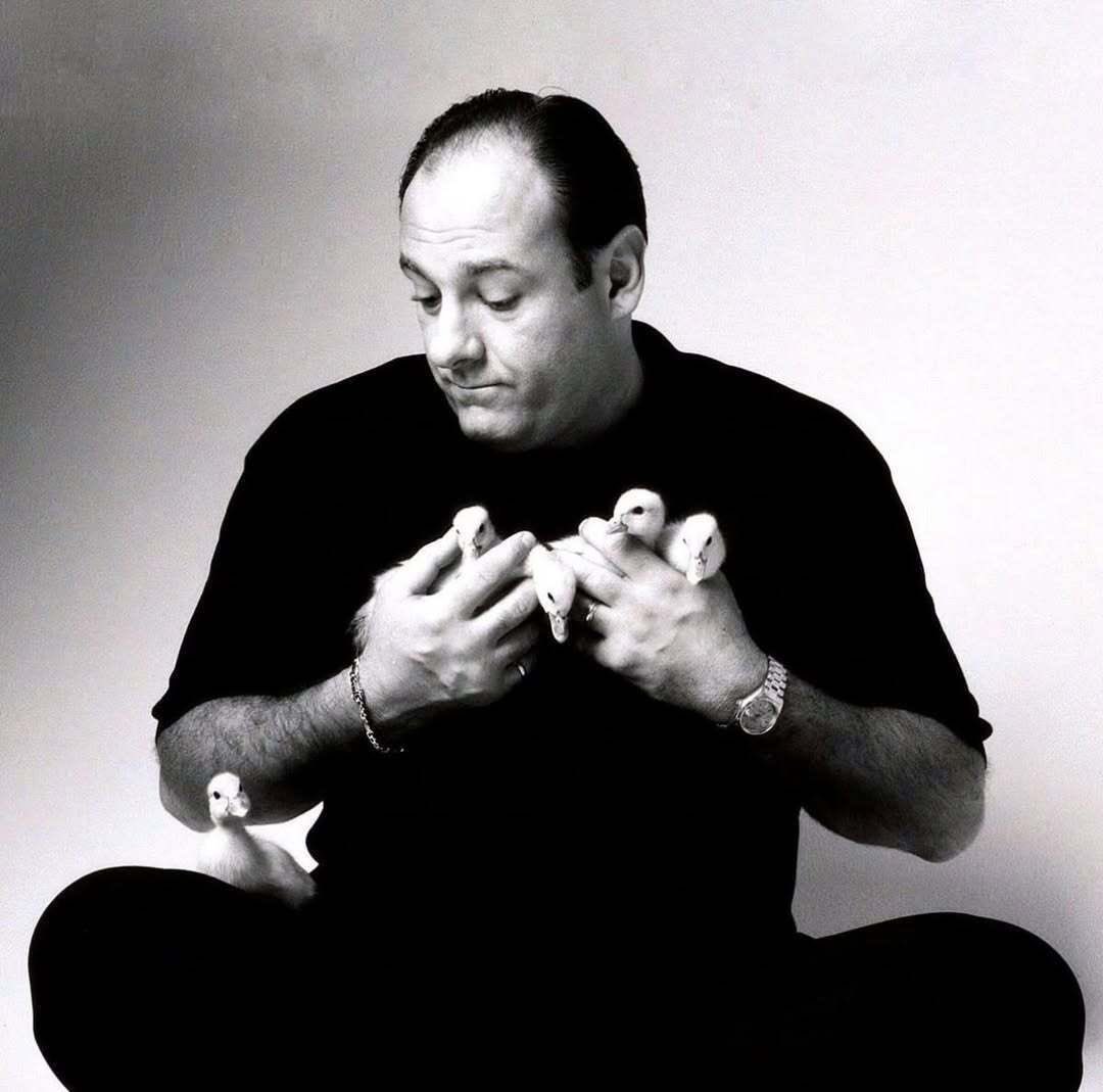 ياحظ البط 🤍🤍