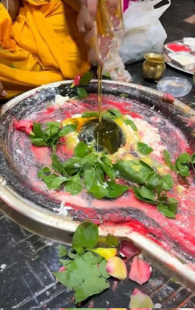 kalyani_0011's tweet image. हर हर महादेव जय जय शिव जय भोले नाथ 🙏🕉 #jotirling #babaka #dham #allfollowers #AllFriends
आज का प्रात: कालीन का दिव्य दर्शन 🙏 
13/3/2026