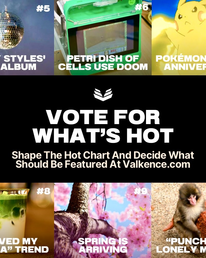 Valkence | Valkence.com tweet media