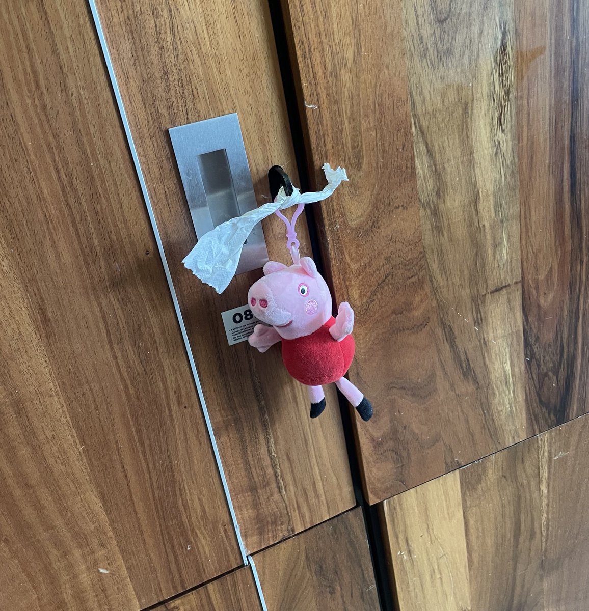 Delulu Labubu ✨ tweet media