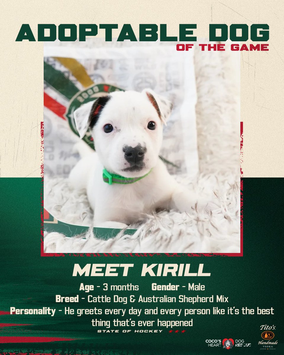 Minnesota Wild tweet media