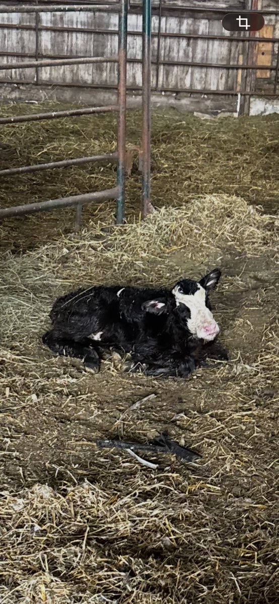 ~605~ ShittalkerFFS tweet media