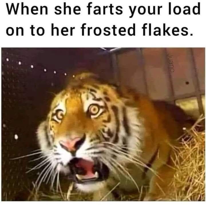 unfortunately fortunate in misfortunes tweet media