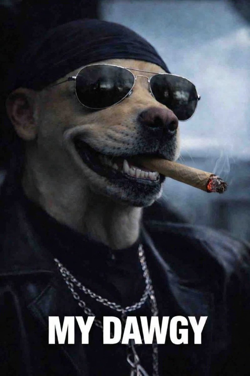 <a href="/weedcoinOG/">weedcoin</a> <a href="/MEXC_Official/">MEXC</a> <a href="/Thatbonee/">That bone 🦴🍗</a> We lit either way 😏