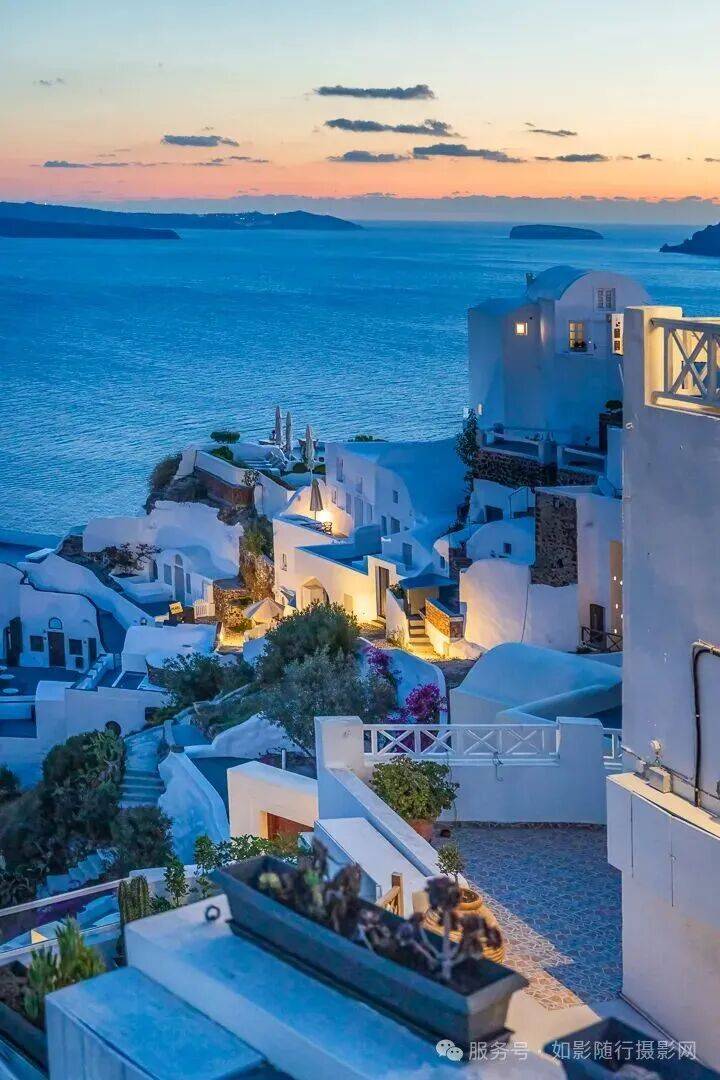 edith parra g tweet media