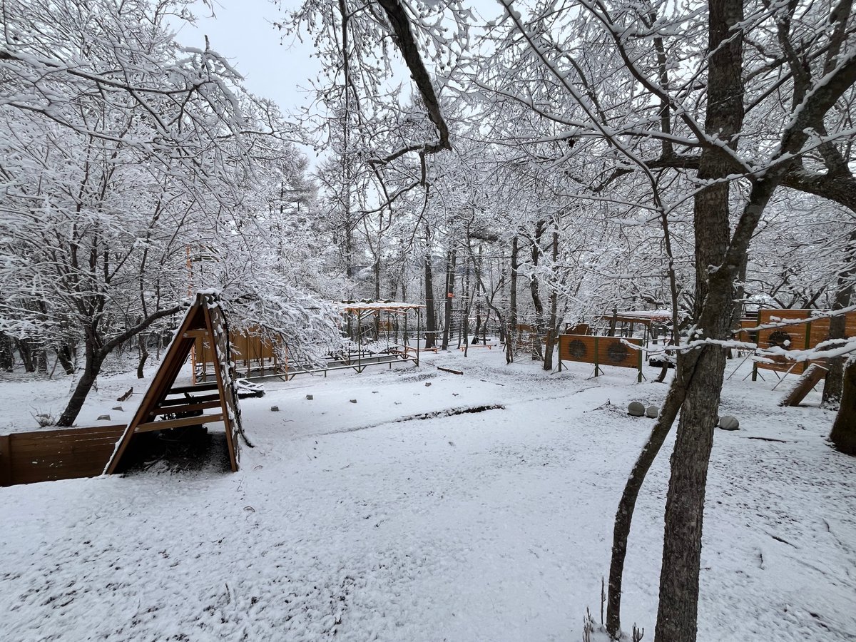 3776_d's tweet photo. Snowy Backyard 😜 #yamanakako #山中湖 https://t.co/IVw4ksFUYk