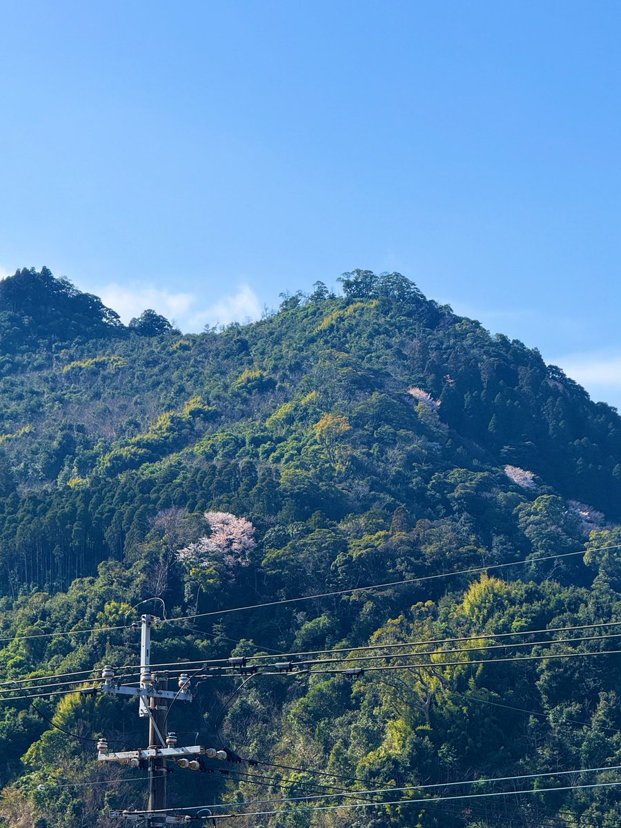 中條/Chujo | NOT A HOTEL tweet media