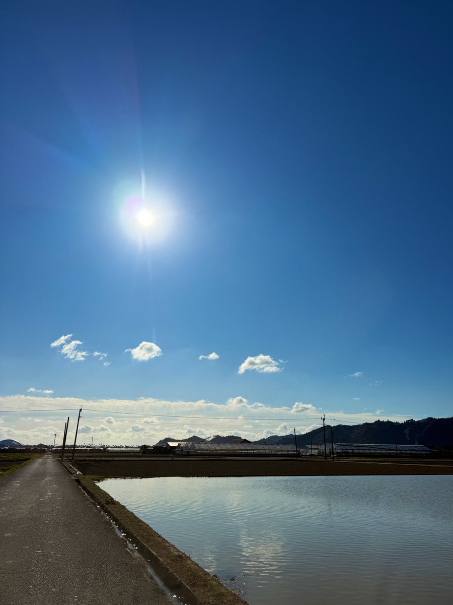 中條/Chujo | NOT A HOTEL tweet media