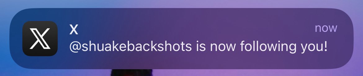 SAKAMOTO SECRETS tweet media