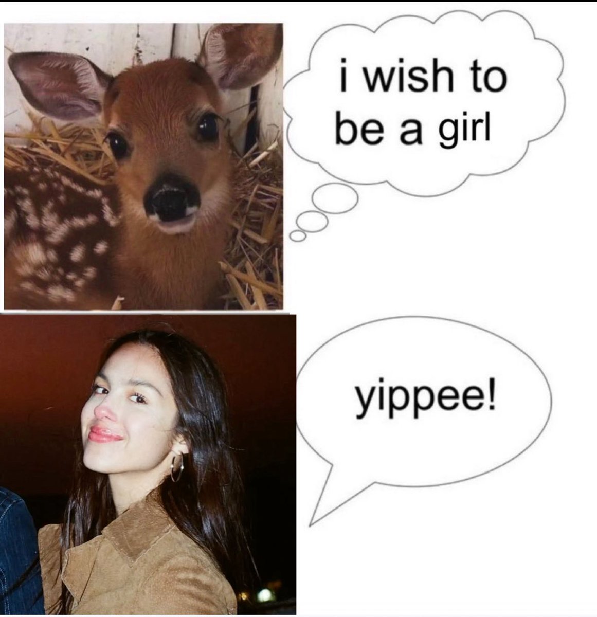 liv thinker💭 (@livsthinker) on Twitter photo 