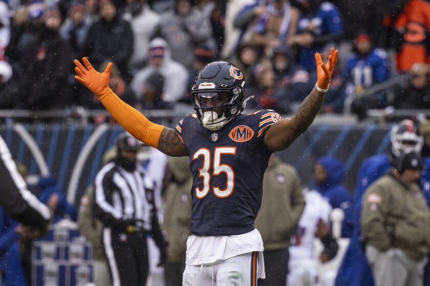 BearsMuse tweet media