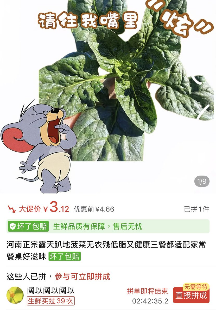 Syyy1937313's tweet photo. @TomatodeKing 他家这个图好可爱哈哈哈哈 https://t.co/c8oq9kwNft