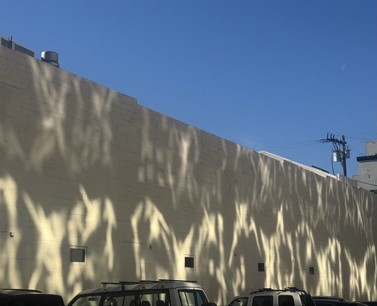 disc : sf rn! tweet media